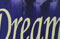 Dream Day Vehicle Wrap – Xtreme Signs Winnipeg
