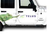 Telus Decals